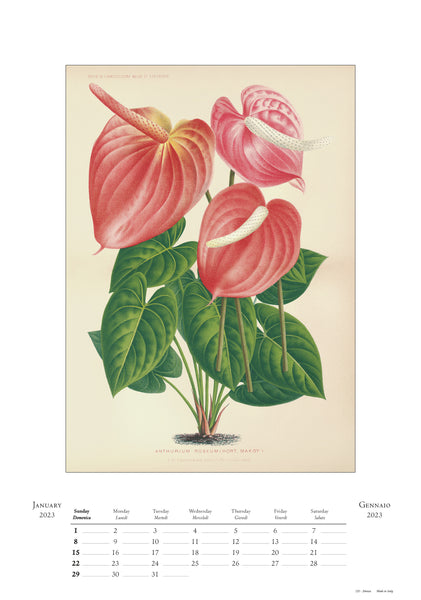 Large Botanica Calendar