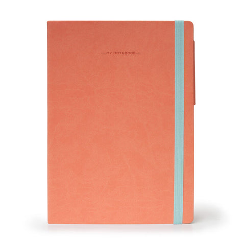 Salmon Pink - My Notebook